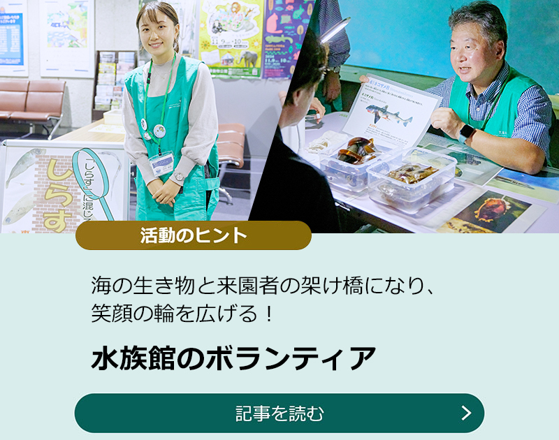 海の生き物と来園者の架け橋になり、笑顔の輪を広げる！水族館のボランティアのスライダー画像　記事を読む